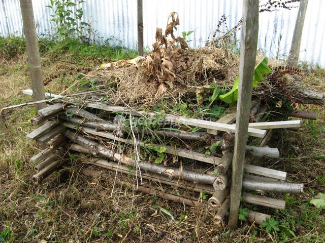 compost pour jardin naturel